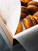 Macaroons with chocolate cream filling, in a box