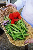 A chef holding a basket of peas in their pods, poppy flowers and chive flowers