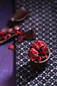 Cranberries in einem Schokoladenbecher