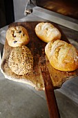 Verschiedene Brote auf Brotschieber