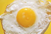 Fried Egg Close-up