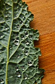 Water droplets on kale leaf