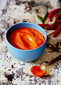 Red pepper and chilli sauce in a bowl and on a spoon