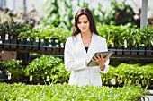 Scientist working in greenhouse