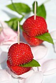 Fresh strawberry skewers with mint leaves on a bed of rose petals