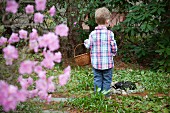Young Boy Standing With Basket in Garden, Rear View