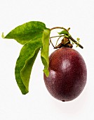 Whole passion fruit with green leaves on white background