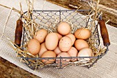 Frische Eier in einem Drahtkorb