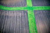 Cross in field