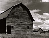Two Old Barns