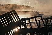 Lobster Traps on Foggy Bay, Maine, USA