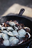Clams and Mushrooms in Pan on Grill
