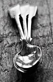 A black and white image of three silver teaspoons