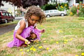 Kleines Mädchen mit violettem Tüllrock beim Löwenzahnpflücken