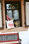 Katze neben Tasche mit selbstgenähtem Tiermotiv in Fensternische