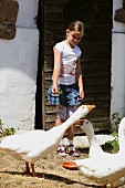 Child feeding geese in front of country house