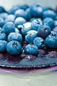 Fresh blueberry cheesecake close up