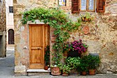 Planters of flowers on floor next to wooden front door below climber on wall of farmhouse in Italian village