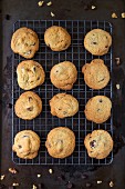 Chocolate chip cookies on a wire rack