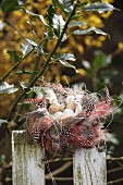 Osternest aus gepunkteten Federn mit Vogeleiern und Schäfchenfiguren auf einem Lattenzaun