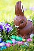 A chocolate Easter Bunny and Easter eggs wrapped in colourful foil in spring field
