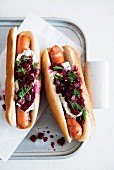 Hot Dogs mit Roter Bete und Dill