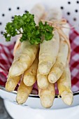 A bunch of white asparagus with parsley in a colander