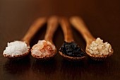 Vier Salzsorten auf Holzlöffeln: Meersalz, schwarzes Salz, rosa Himalaya-Salz und Rauchsalz