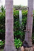 Nostalgische Dusche an Palmenstamm installiert vor sommerlicher Gartenhecke mit eingewachsenem Gartenzaun