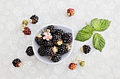 Blackberries with flowers and leaves
