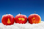 Three apples carved with Christmas symbols