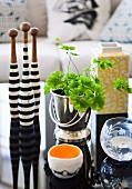 Arrangement of various home accessories and potted foliage plant on glossy black coffee table