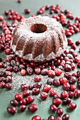 A Bundt cake with icing sugar and cranberries