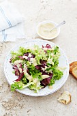 Mixed leaf salad with mayonnaise dressing