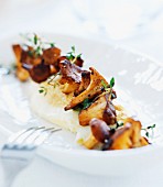 Mashed potatoes with chanterelles