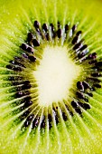 A slice of kiwi (detail)