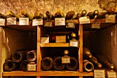 Sehr alte Weinflaschen im Keller von Caves Jean Bourdy, Arlay, Jura, Frankreich