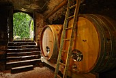 Weinfässer im Keller von Domaine de Montbourgeau, L Etoile, Jura, Frankreich