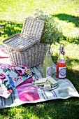 Sandwiches on plate, swing-top bottles and picnic basket decorated with gypsophila on checked blanket outdoors