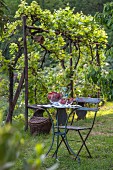 Runder Gartentisch mit Stuhl in sommerlichem Garten; darauf eine Kristallschale mit frisch gepflückten Erdbeeren