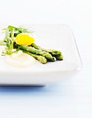 Green asparagus with a garlic and cheese sauce