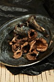 Brown king trumpet mushrooms