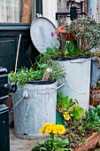 Old rubbish bins used as planters