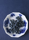 Blueberries on a plate on a blue surface