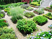 Various beds on herbs in a garden separated by gravel paths