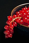 A bowl of redcurrants (close-up)