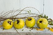 Quinces and sunflower petals