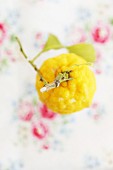 A lemon with a stem and leaves against an out-of-focus floral tablecloth