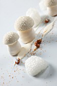 Meringue mushrooms with a foamy source