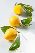 Lemon sweets with leaves